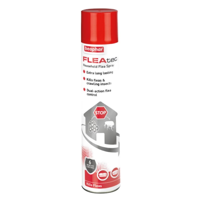 Household flea treatment uk store