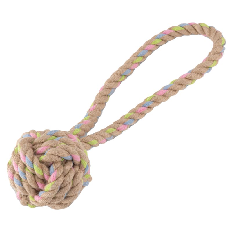 Beco hoop dog toy top