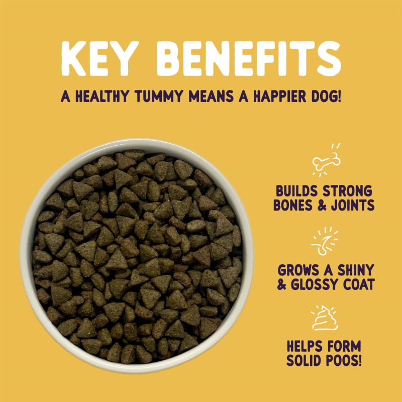 Burgess Sensitive Adult Dry Dog Food Pet Supermarket