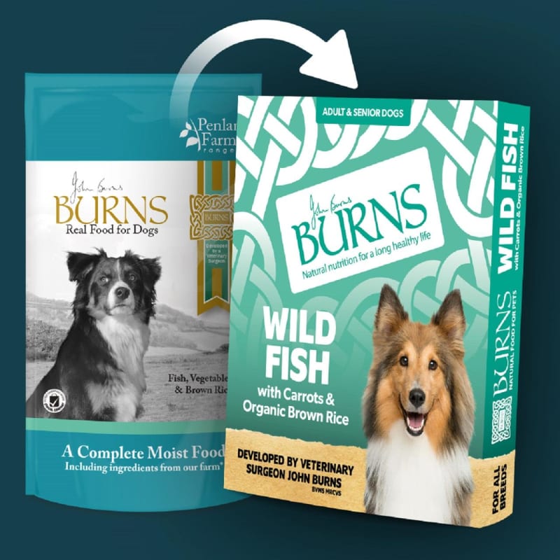 Fish for dogs senior hot sale