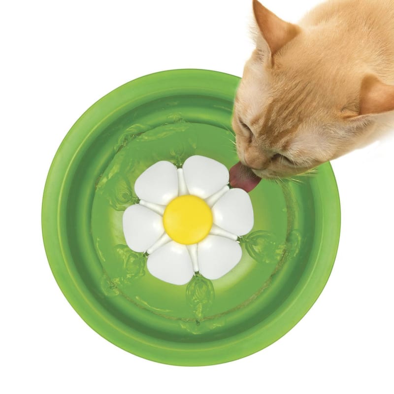 Pet flower sales water fountain