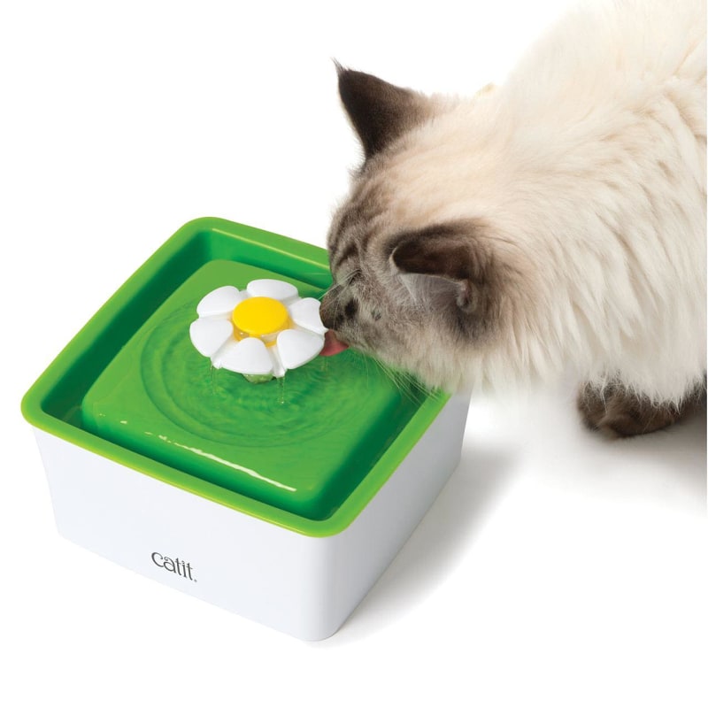 Mini pet water fountain clearance