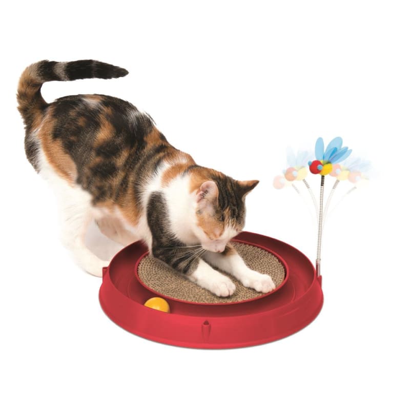 Catit spinning bee discount