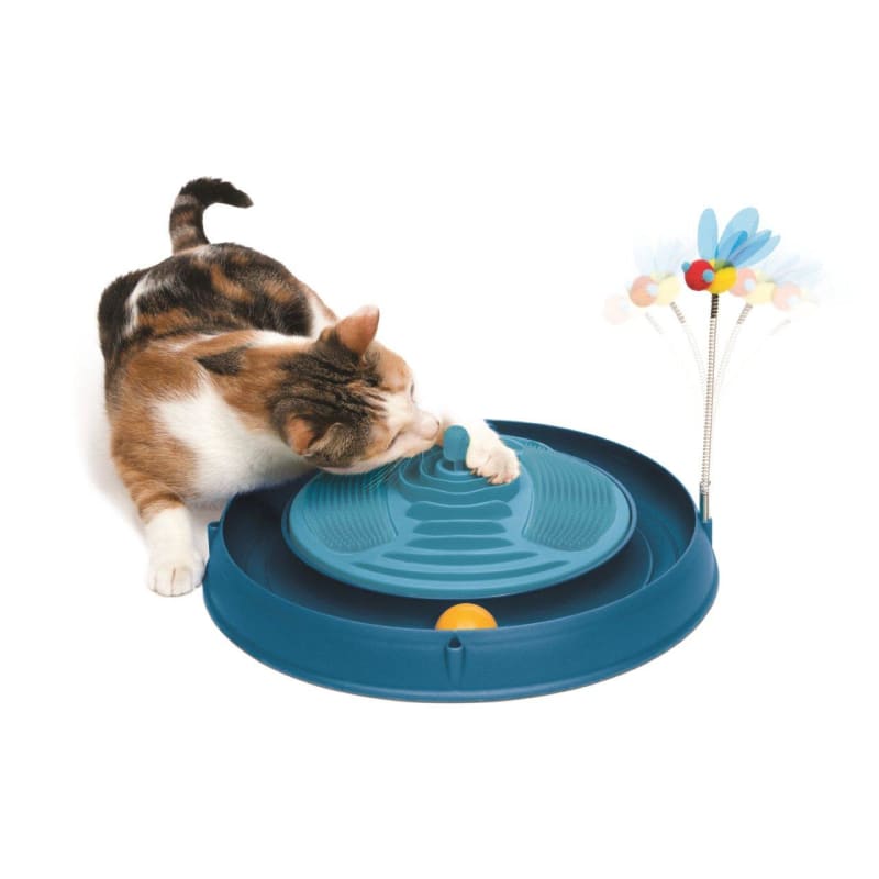 Cat play circuit sales