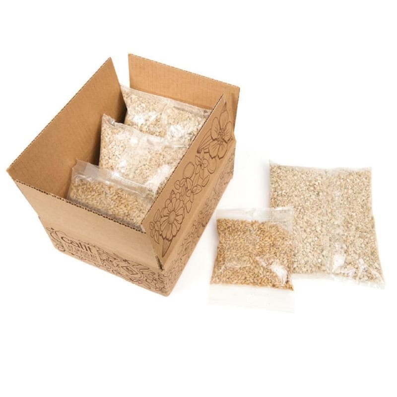 Catit hotsell grass refill