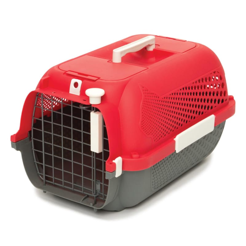 Cat it sales carrier