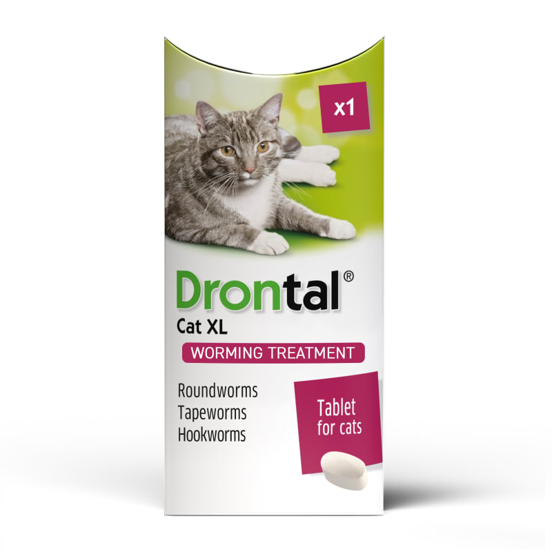 Best cat worming treatment uk outlet
