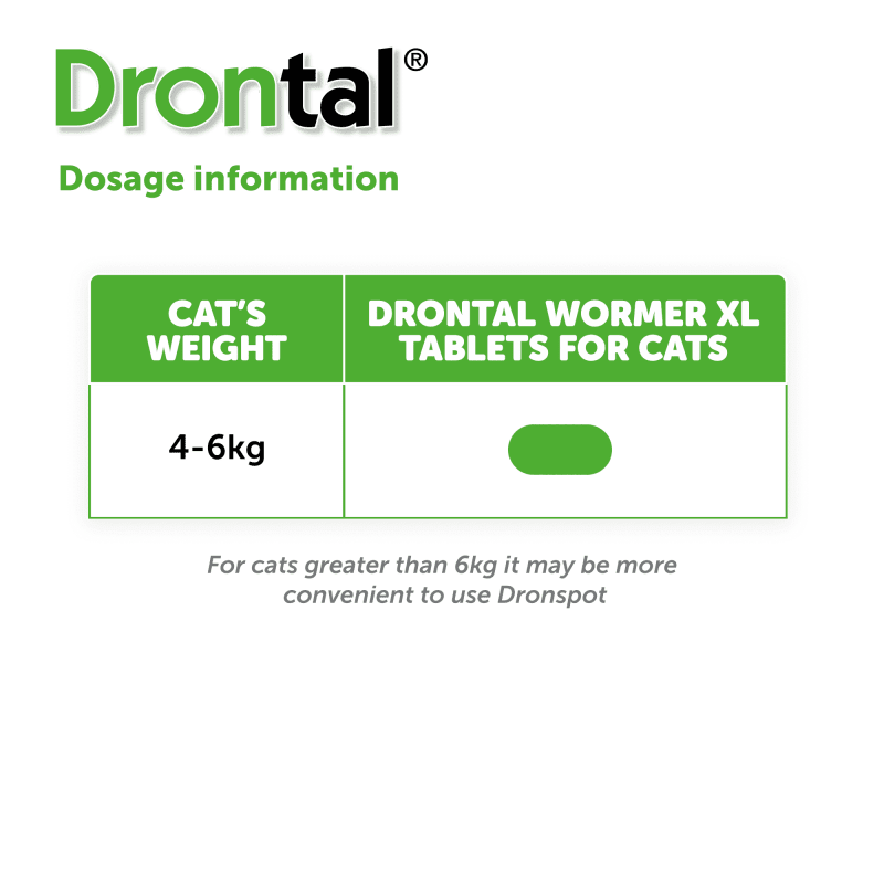 Drontal Wormer Tablets for Large Pet Supermarket