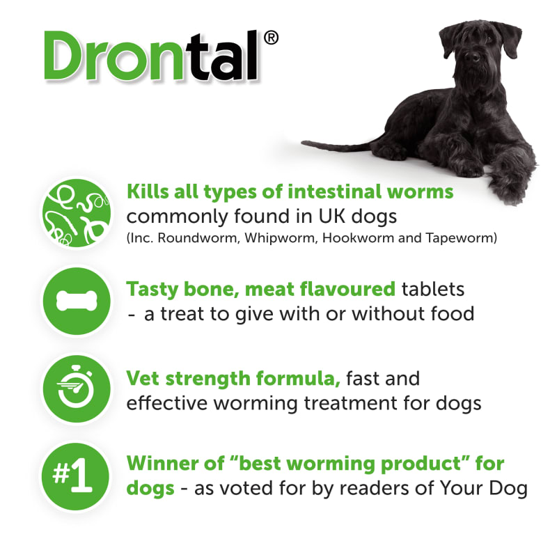 Drontal dog on sale worming tablets