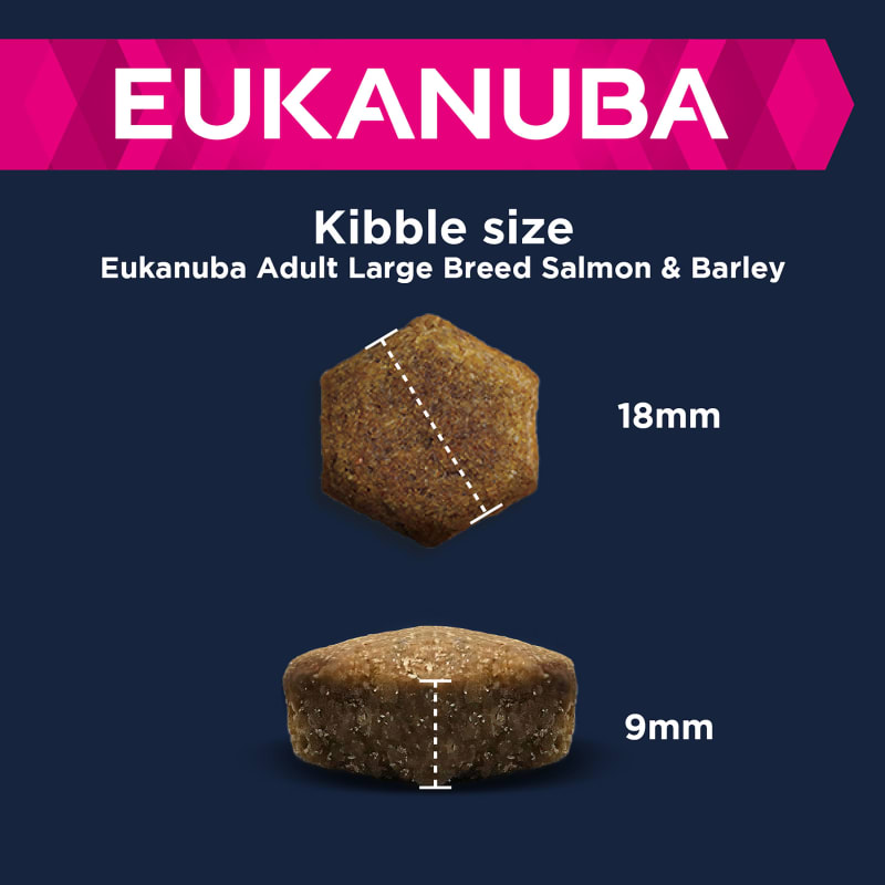 Eukanuba salmon and rice shop