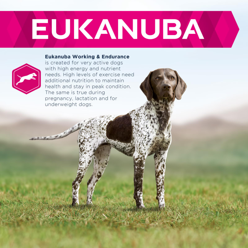 Eukanuba premium performance hot sale