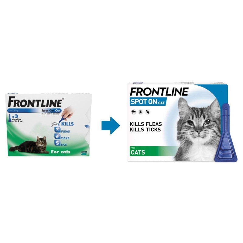 Frontline for outlet cats cheapest price