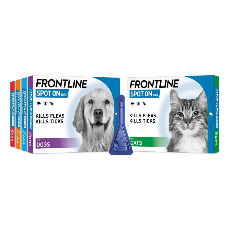 Frontline shop anti flea