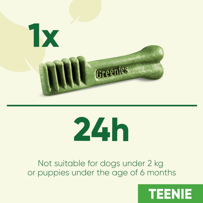 Mini greenies for dogs store