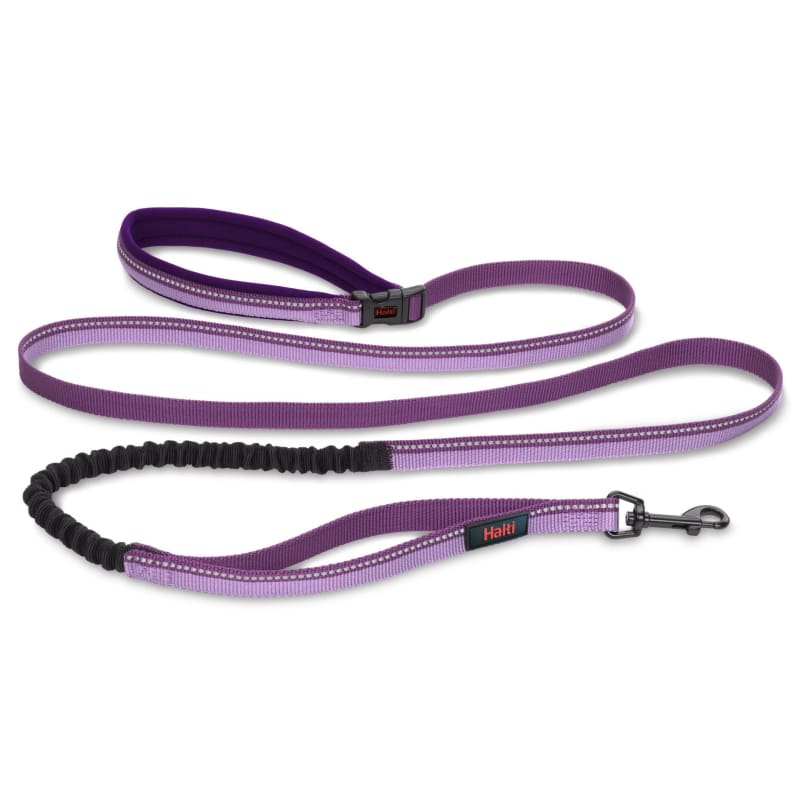 Purple shop dog lead