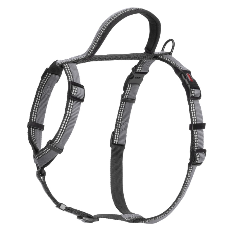 Blackdog halti discount