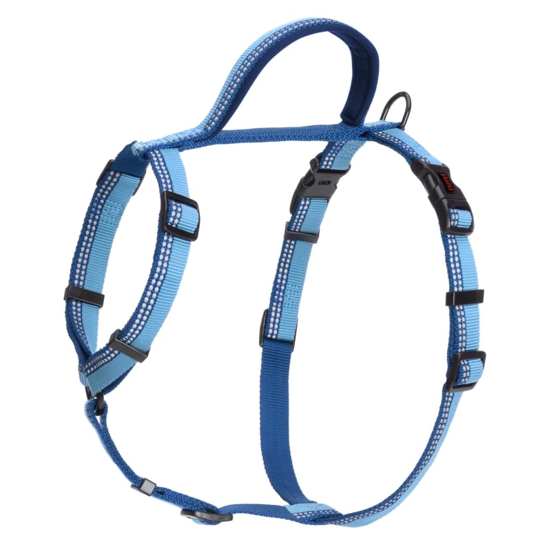 Halti walking dog harness top