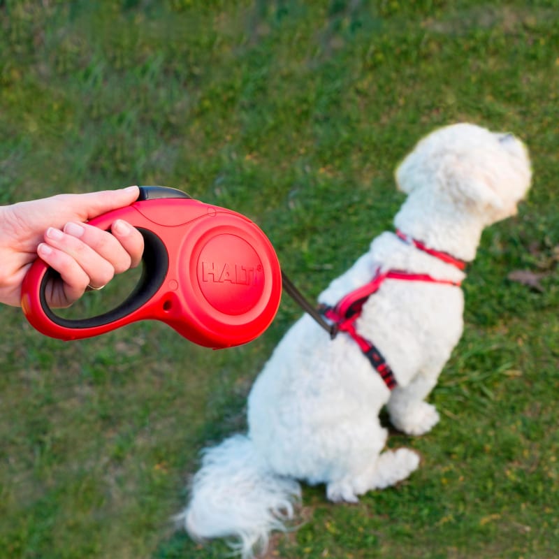 Halti Retractable Dog Lead Black Pet Supermarket