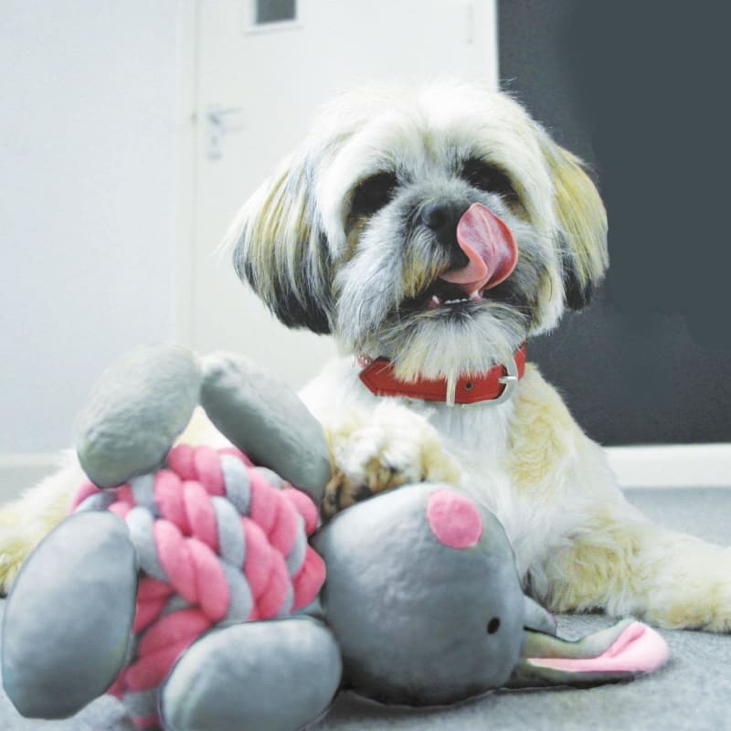 Happy Pet Little Rascals Knottie Pet Supermarket