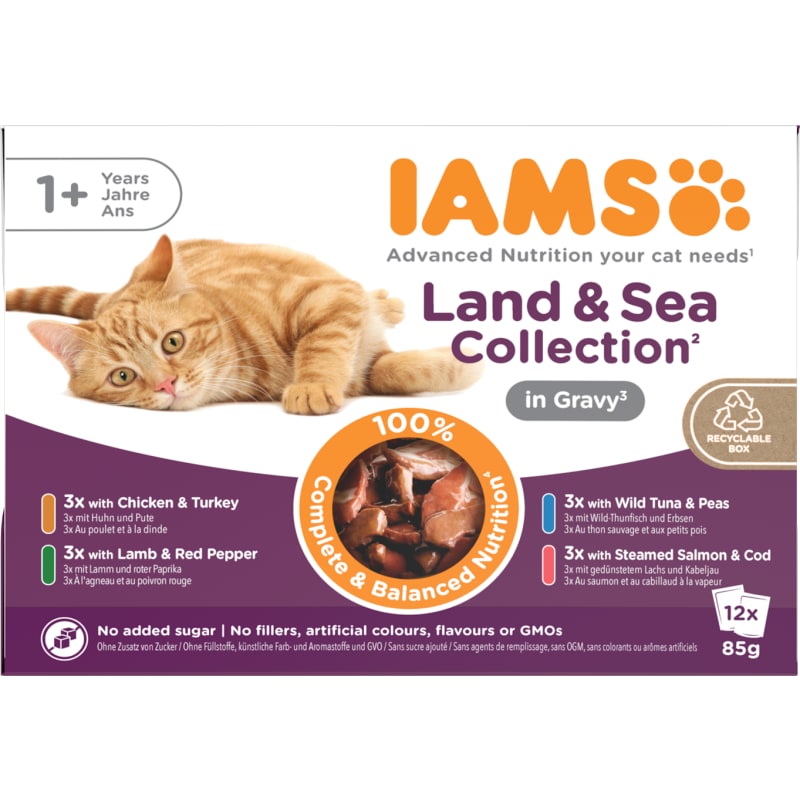 Iams chicken pate cat food outlet