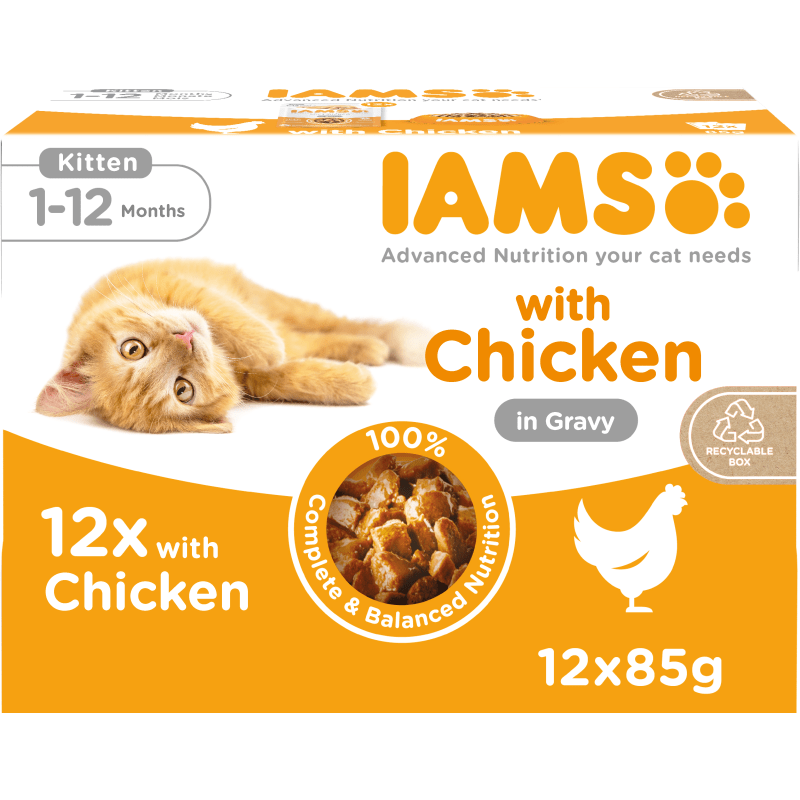 Iams kitten wet food shop