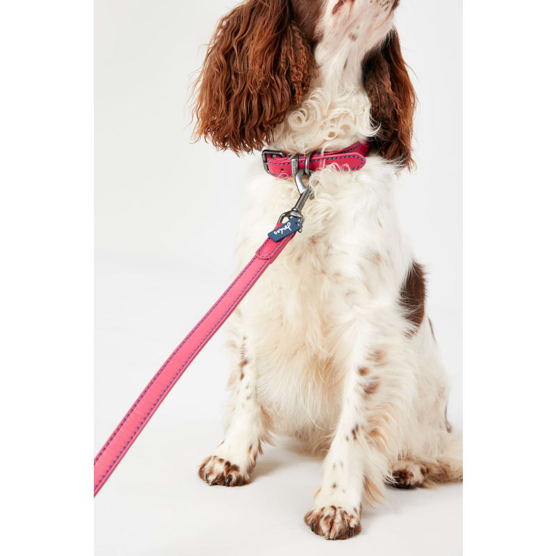 Joules dog lead and collar store