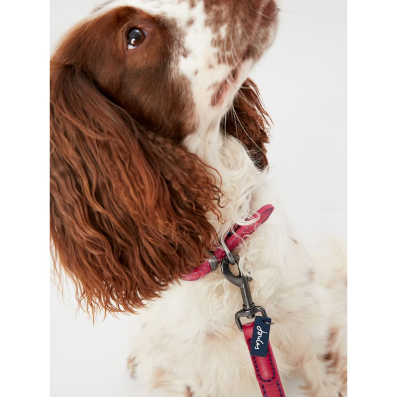Joules pink 2025 dog collar
