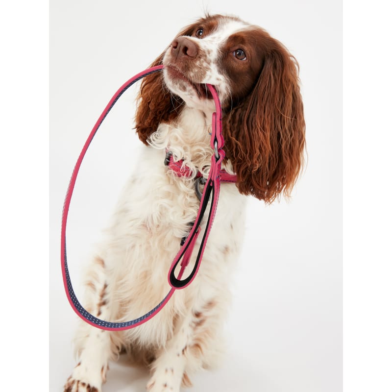 English show cheap leash