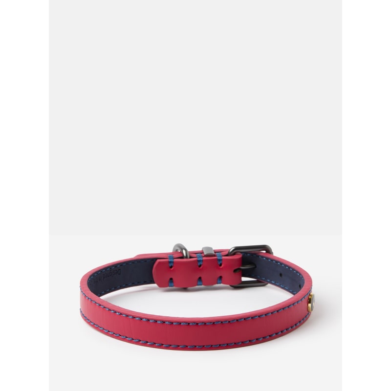 Joules dog accessories discount