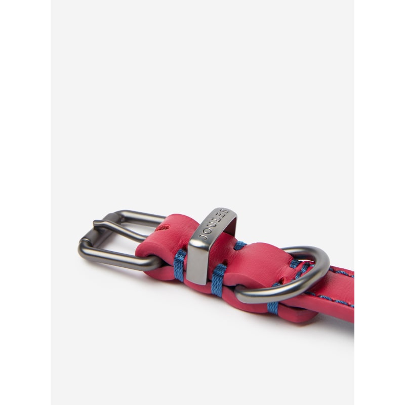 Joules shop dog harness
