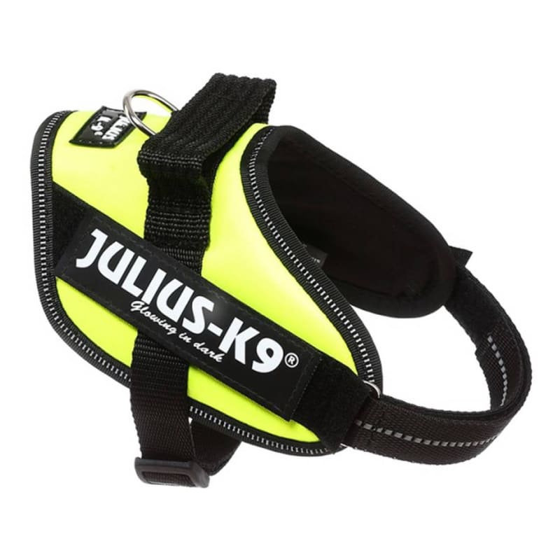 Julius k9 sizes uk shop