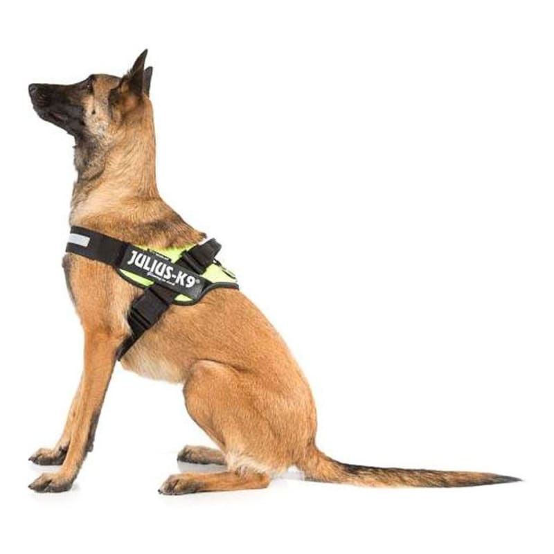 Julius K9 IDC Neon Yellow Dog Pet Supermarket