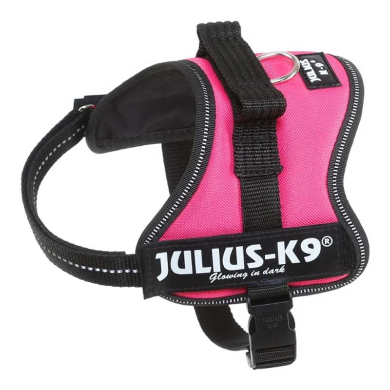 Julius k9 flashlight shop