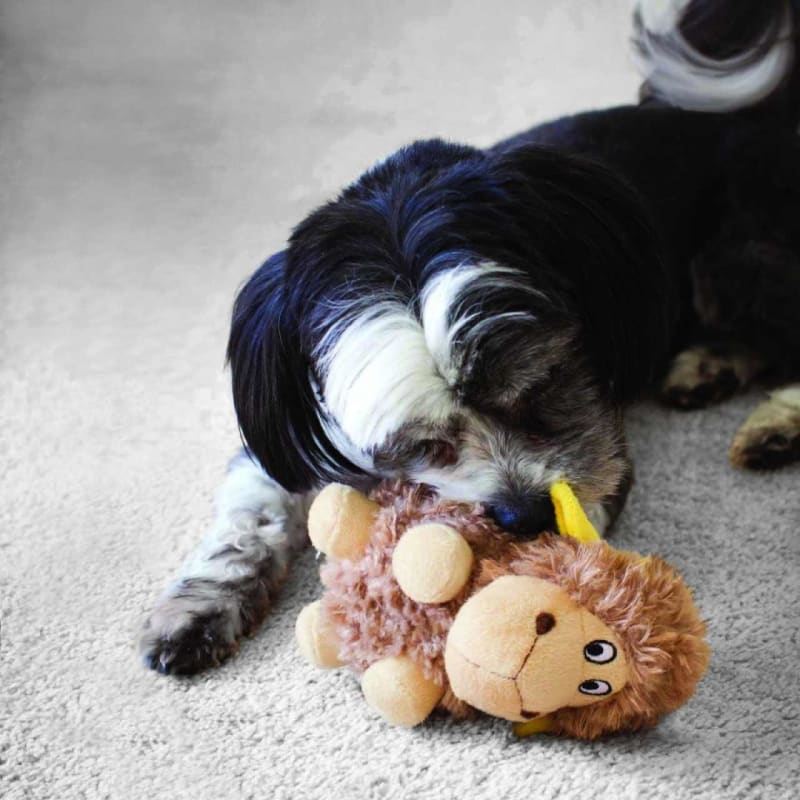Kong sheep dog toy deals