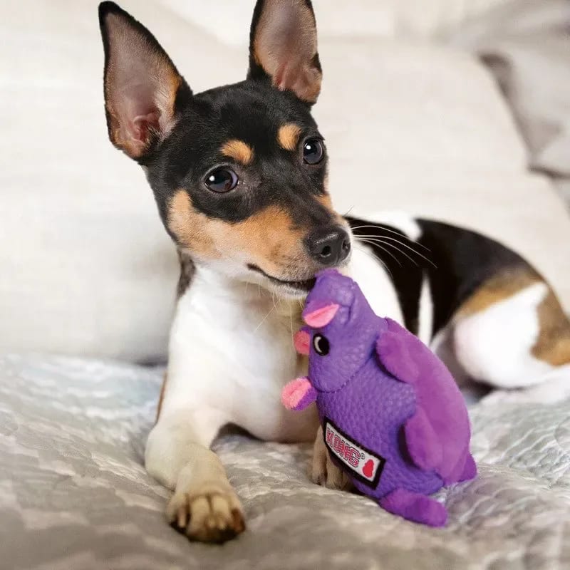 Kong Phatz Hippo Dog Toy Pet Supermarket