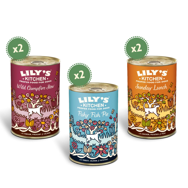 Lily's kitchen grain free dog food 2025