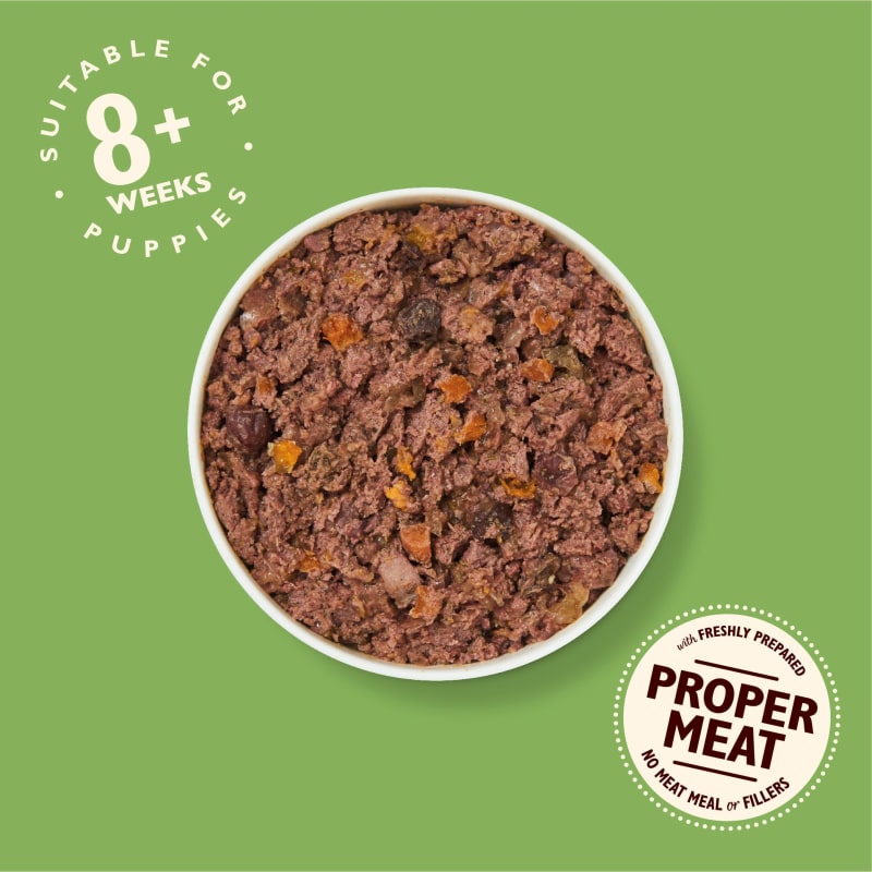 Lily's kitchen top wet dog food