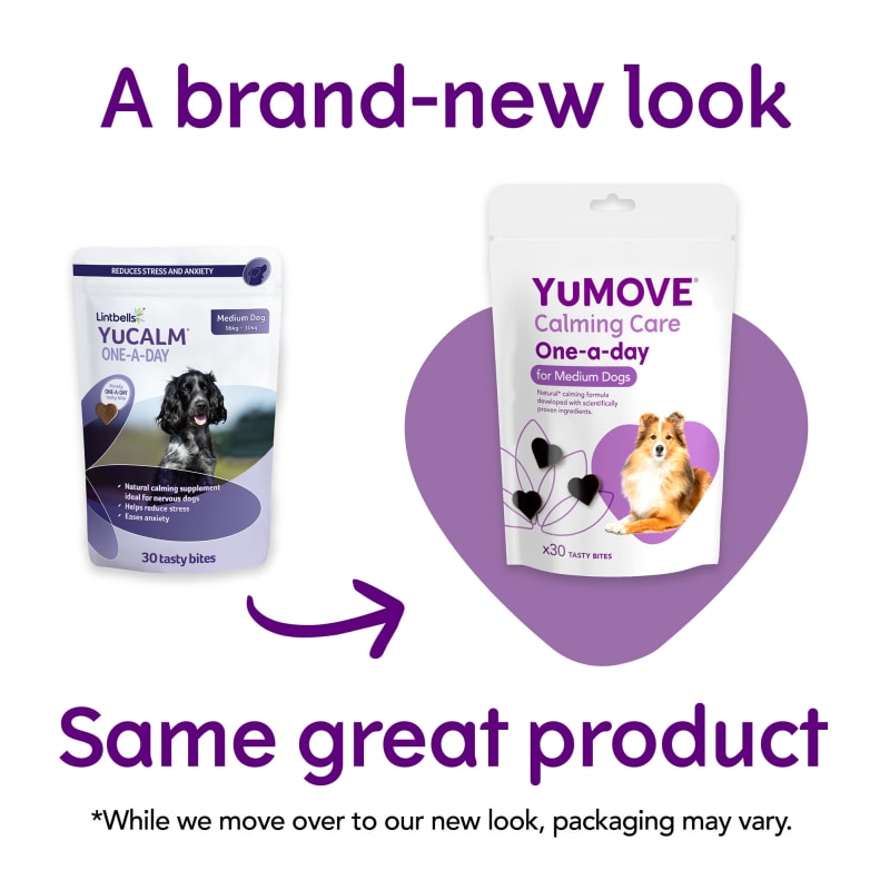 Lintbells yumove advance on sale 360