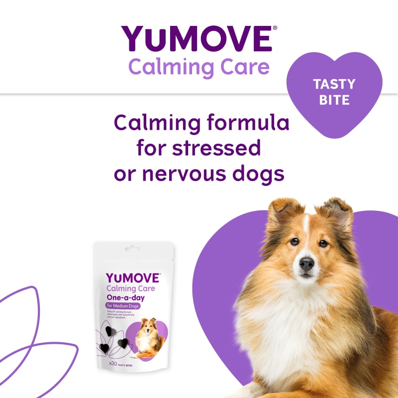 YuMOVE One A Day Calming Care Pet Supermarket