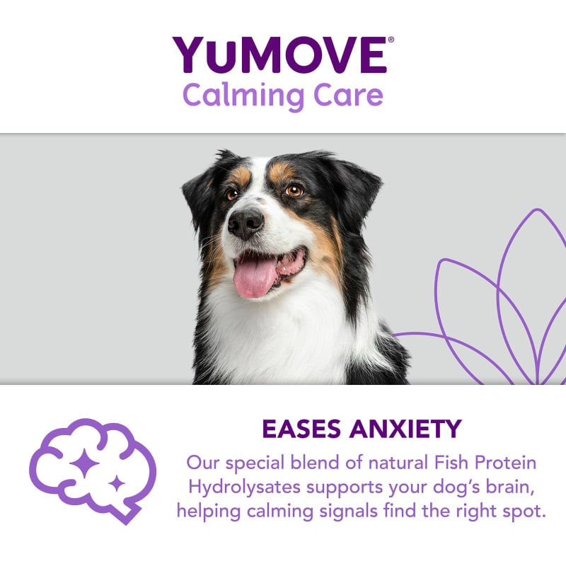 Purina calming care uk new arrivals