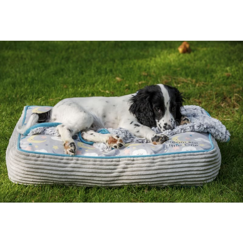 Petface hotsell dog mattress