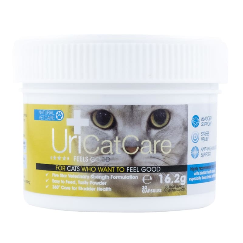 Cat sales supplements uk