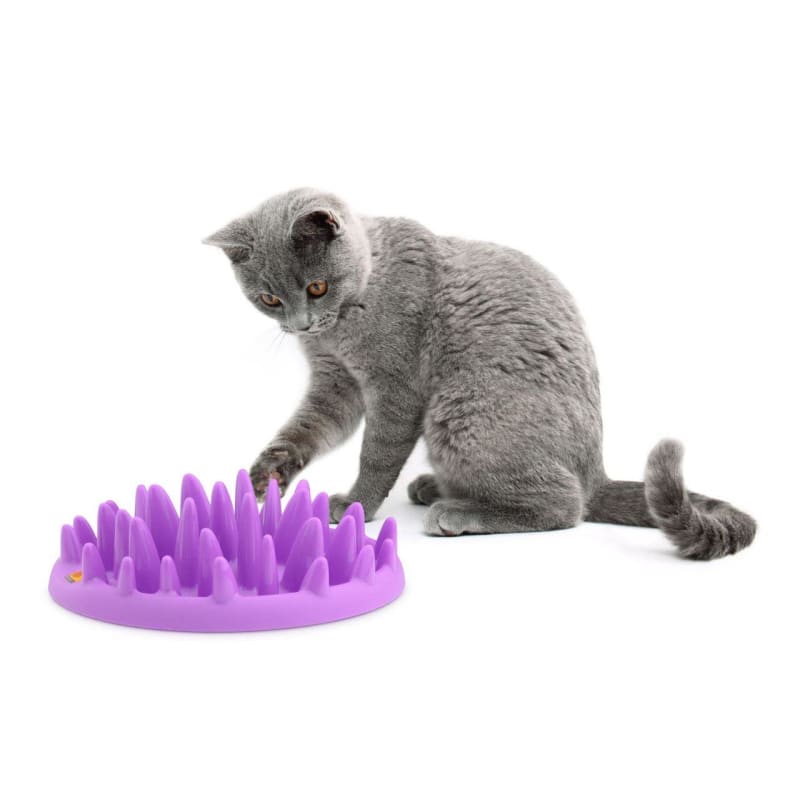 Interactive cat feeder best sale