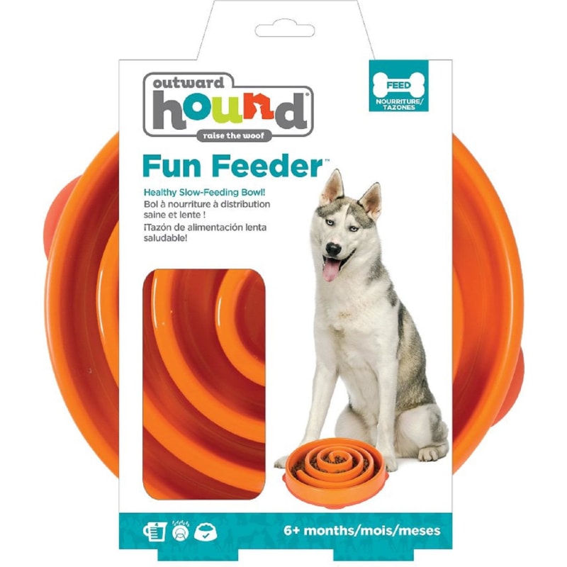Greedy feeder dog bowl deals