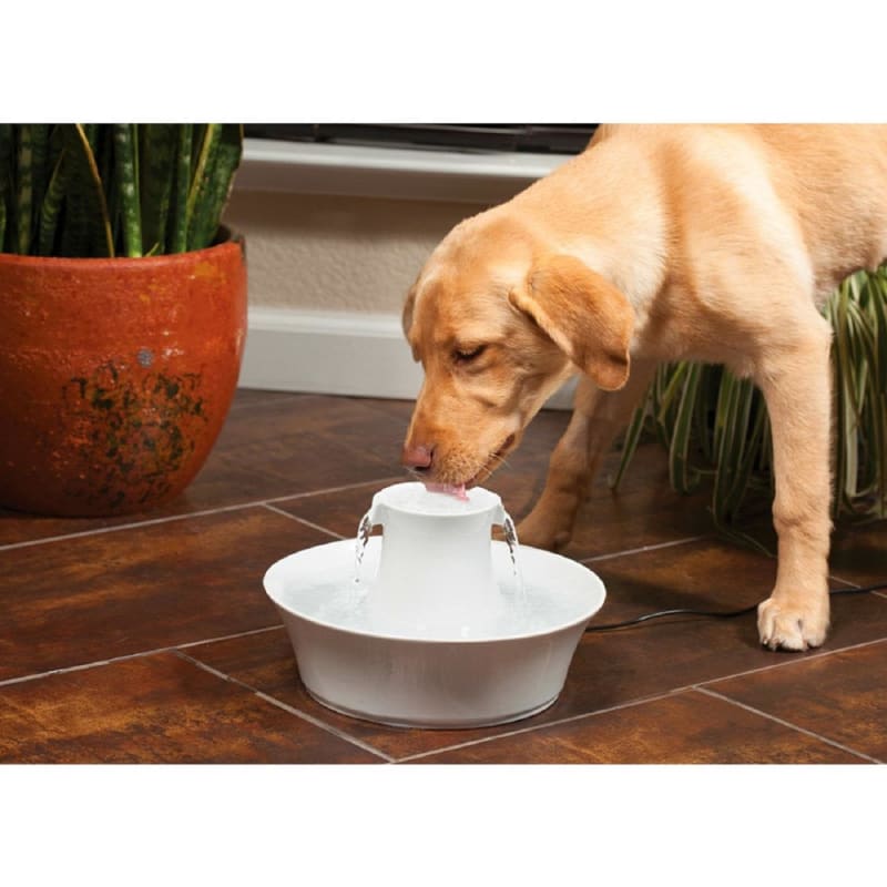 Drinkwell ceramic deals avalon