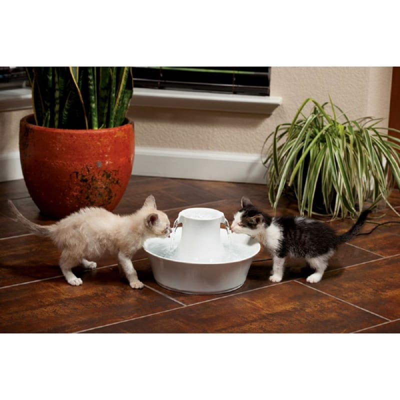 Petsafe drinkwell avalon pet fountain clearance