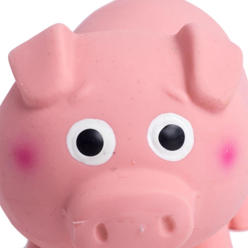 Petface latex dog toys store