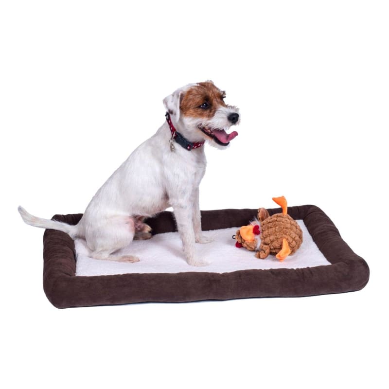 Dog beds at sams cheap club