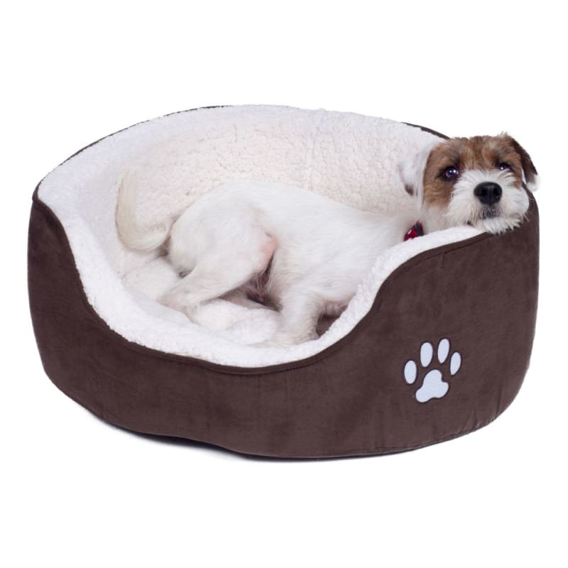 Dog bed best sale sams