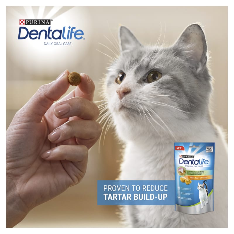 Purina dentalife cat treats reviews shop